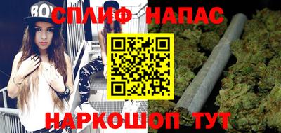 гидра Славгород