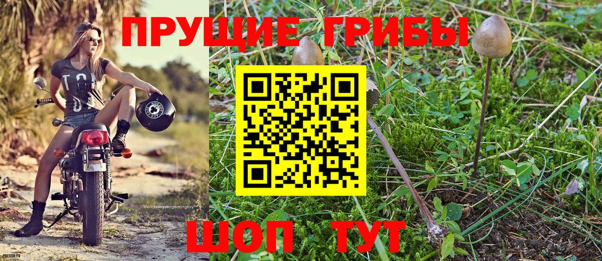 Вольск  Псилоцибиновые грибы Magic Shrooms  Вход с VPN 